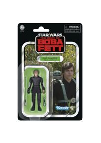 Luke Skywalker (Jedi Academy)