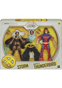 Storm & Thunderbird