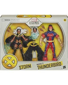 Storm & Thunderbird